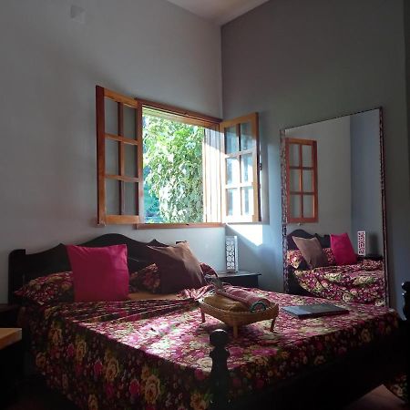 Divin'Art Bed & Breakfast Ribeira Grande ภายนอก รูปภาพ