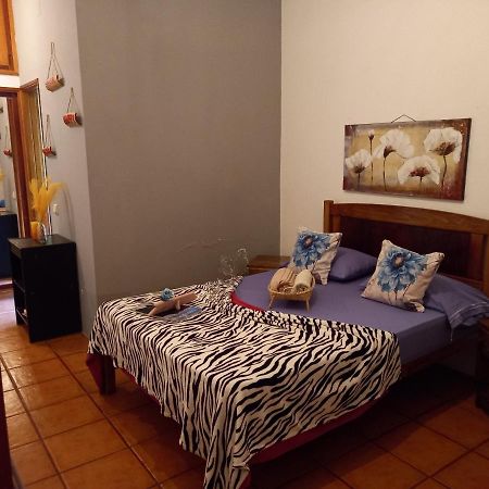 Divin'Art Bed & Breakfast Ribeira Grande ภายนอก รูปภาพ